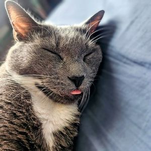 Meet your Posher, Cris